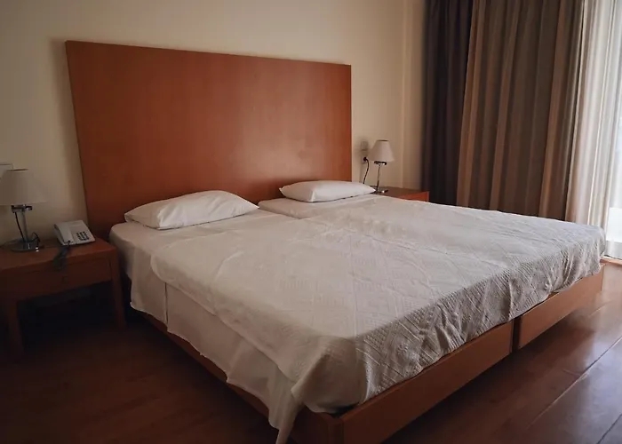 Angela Downtown 3*